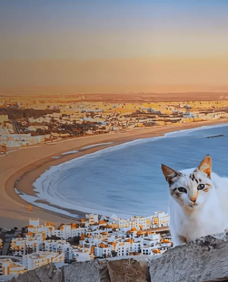 agadir desert trips prev