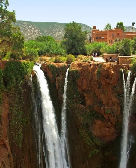 création site web WordPress